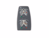 Compatible Rear Overlay/AHA (comparable to Philips, used for M2601B) 1 /Pc SKU: M20-F117