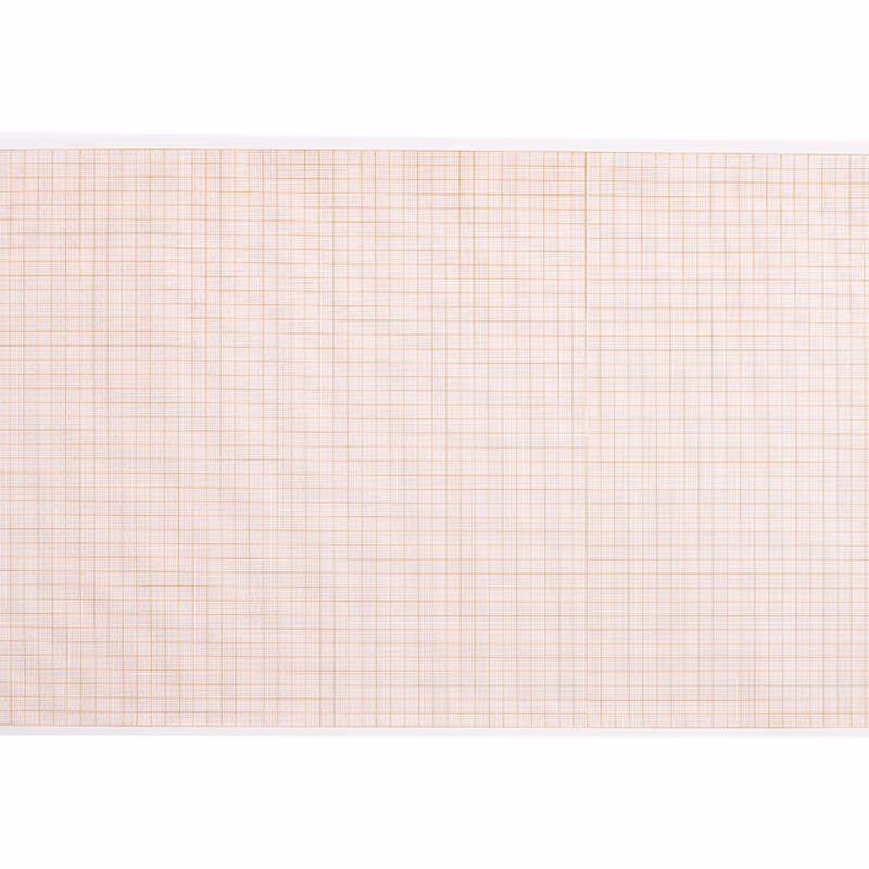 Replacement-Recording Paper 216mm*20m used for ECG Machines Comen CM1200B, AIDAN12B, Biolight BLT-2012 SKU: TNC-CM-PA003
